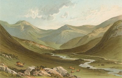 Glen Nevis - English School